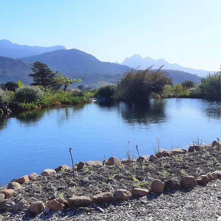 Gecko Cottage At Artemis Franschhoek Eksteriør billede