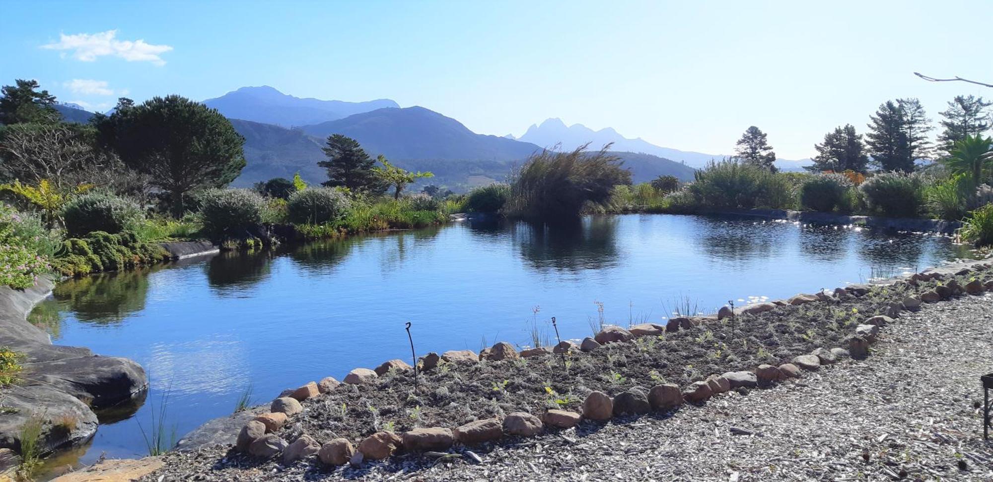 Gecko Cottage At Artemis Franschhoek Eksteriør billede