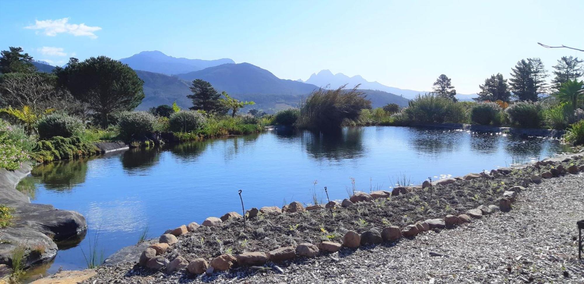 Gecko Cottage At Artemis Franschhoek Eksteriør billede