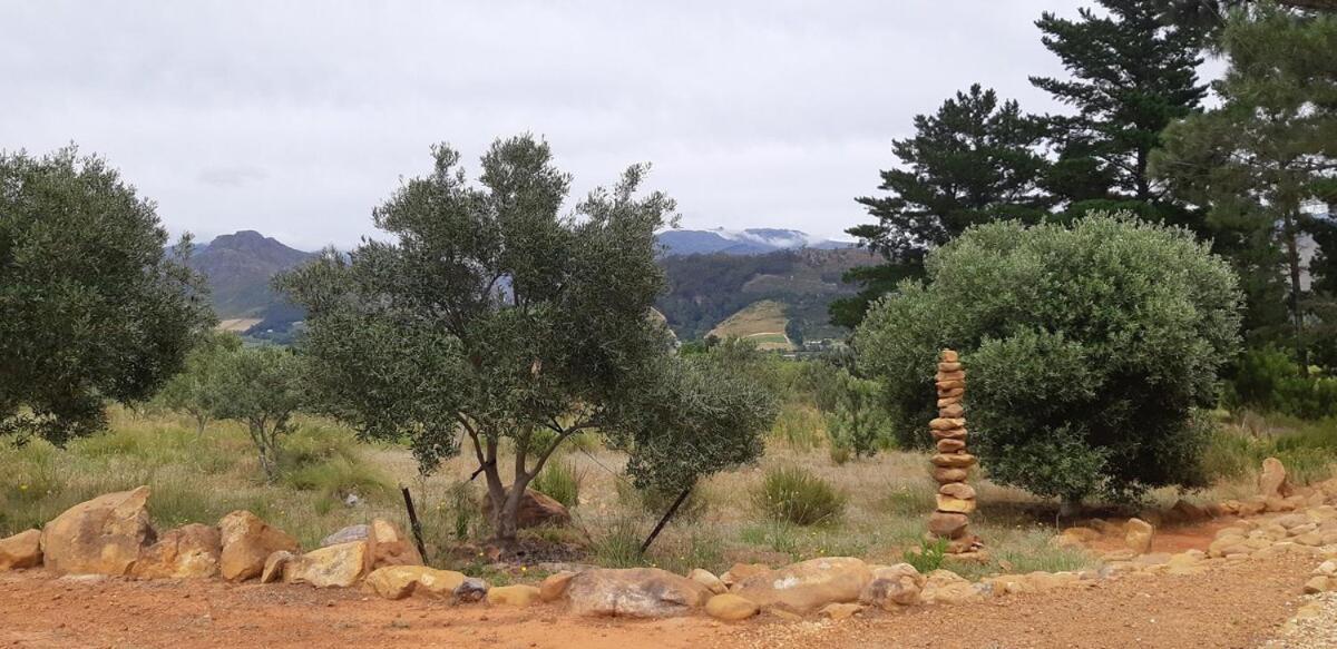 Gecko Cottage At Artemis Franschhoek Eksteriør billede